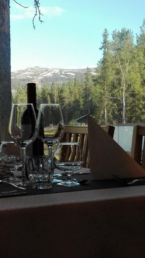 Pyhan Asteli Aurora Igloos & Suites Pyhätunturi Extérieur photo